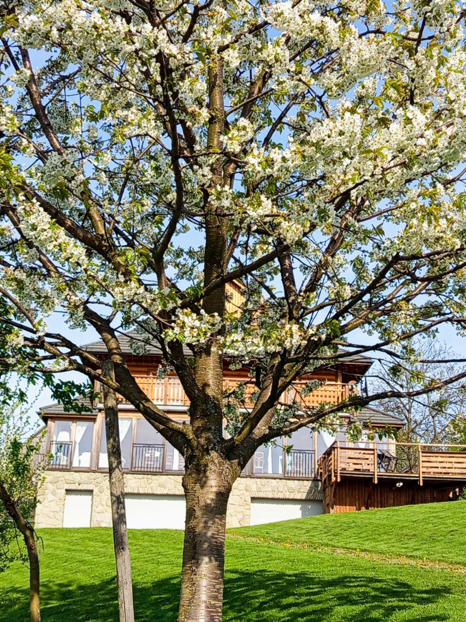 Dom Na Rozcesciu Bed & Breakfast Koniaków Dış mekan fotoğraf